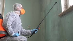 Why You Should Choose Our Mold Remediation Services in Beaufort, NC